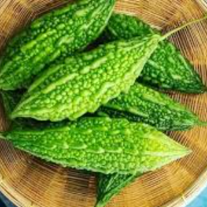 हिरवा कारले (Bittermelon)