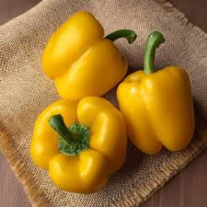 पिवळी शिमला मिरची (Yellow Capsicum)